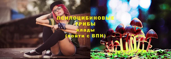 не бодяженный Горнозаводск