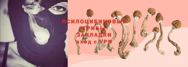 не бодяженный Горнозаводск
