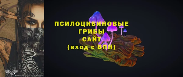 МДМА Горняк