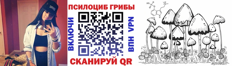 Купить где  Озёры  Галлюциногенные грибы прущие грибы 
